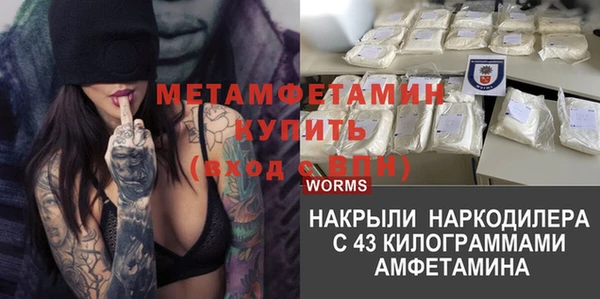 шишки Белокуриха