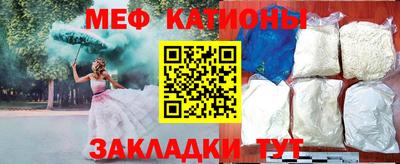 прущие грибы Гатчина