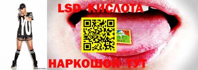 прущие грибы Гатчина