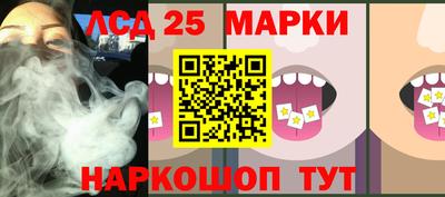 прущие грибы Гатчина