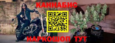 прущие грибы Гатчина