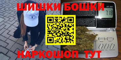 прущие грибы Гатчина